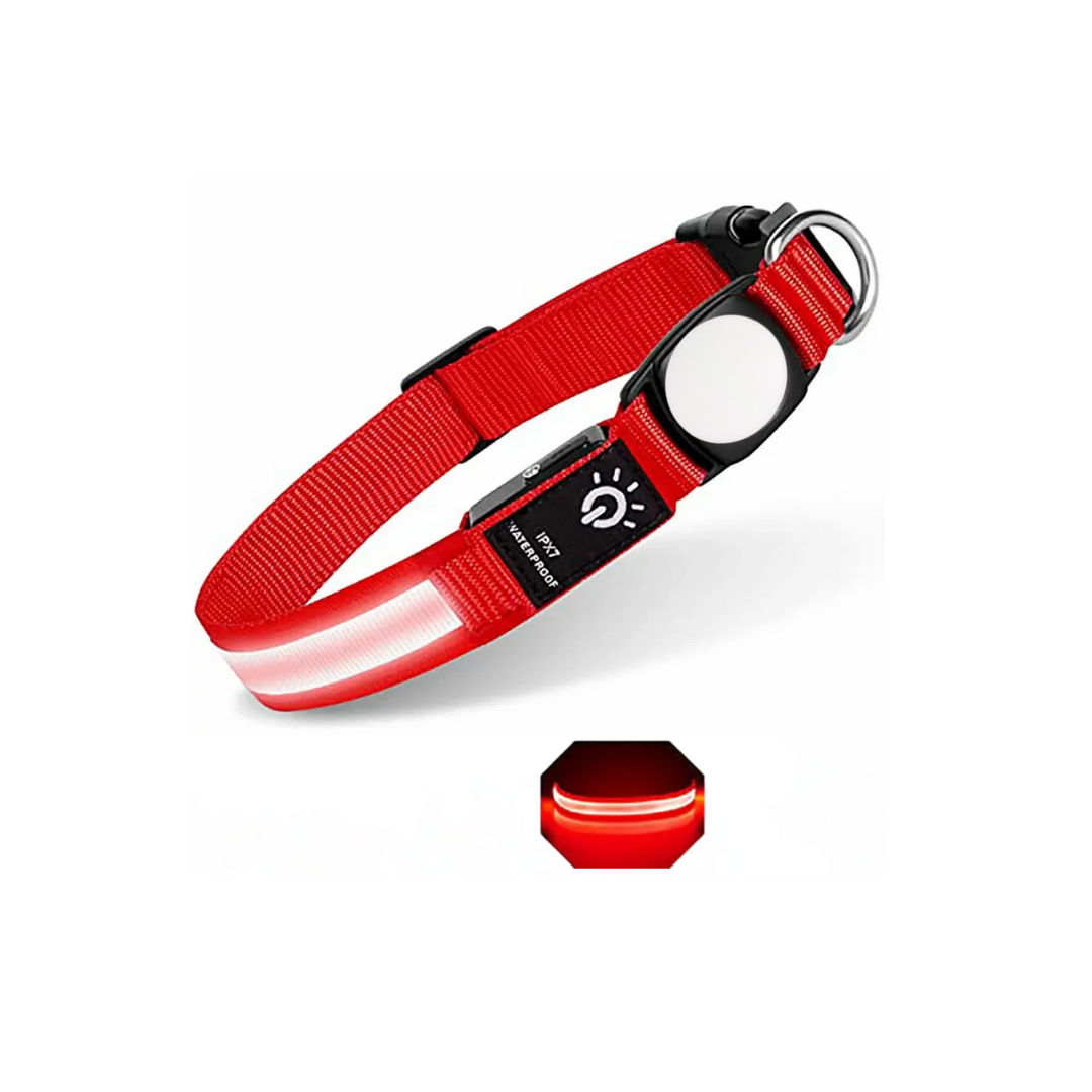 Collar Led para Tagior
