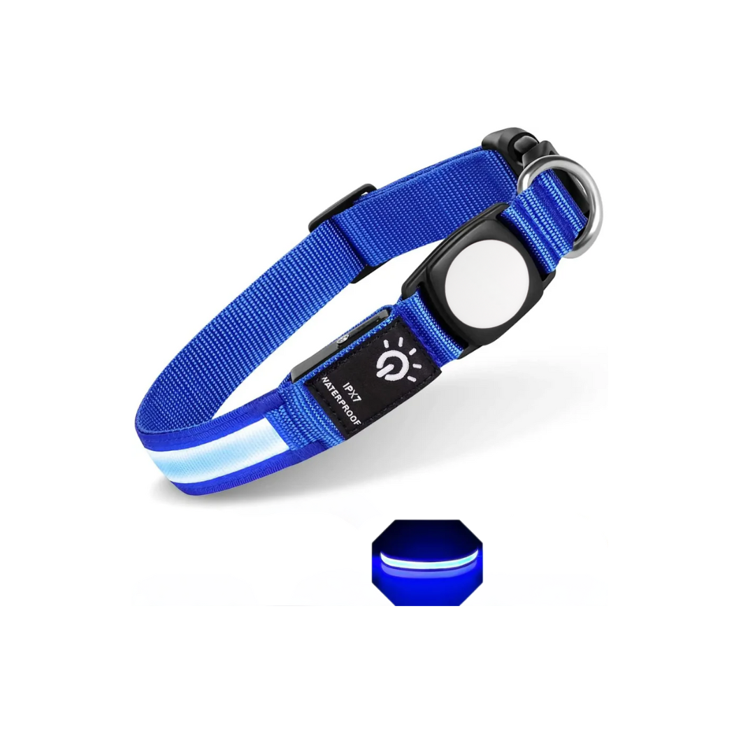 Collar Led para Tagior