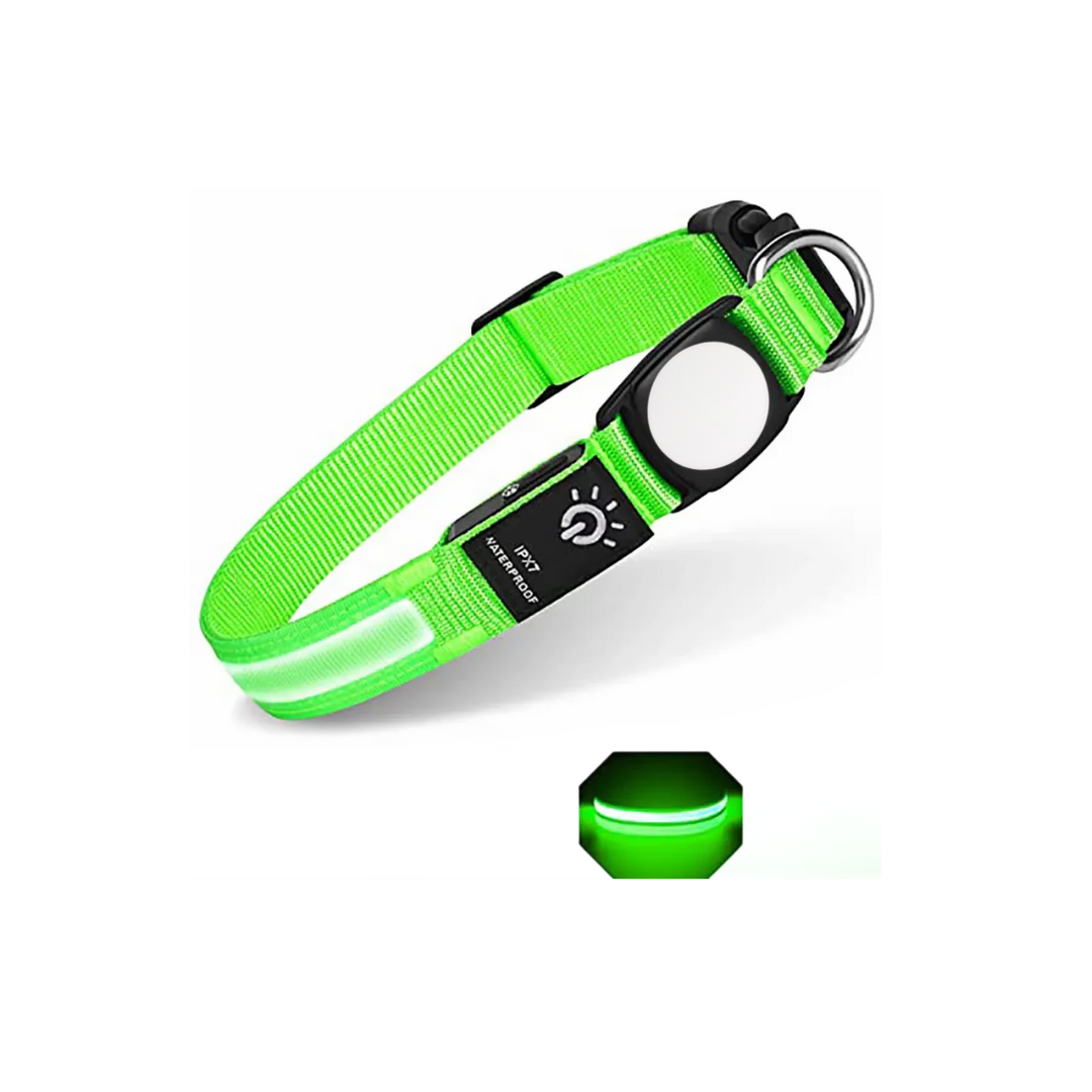 Collar Led para Tagior