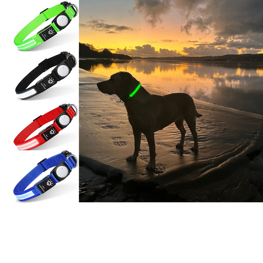 Collar Led para Tagior