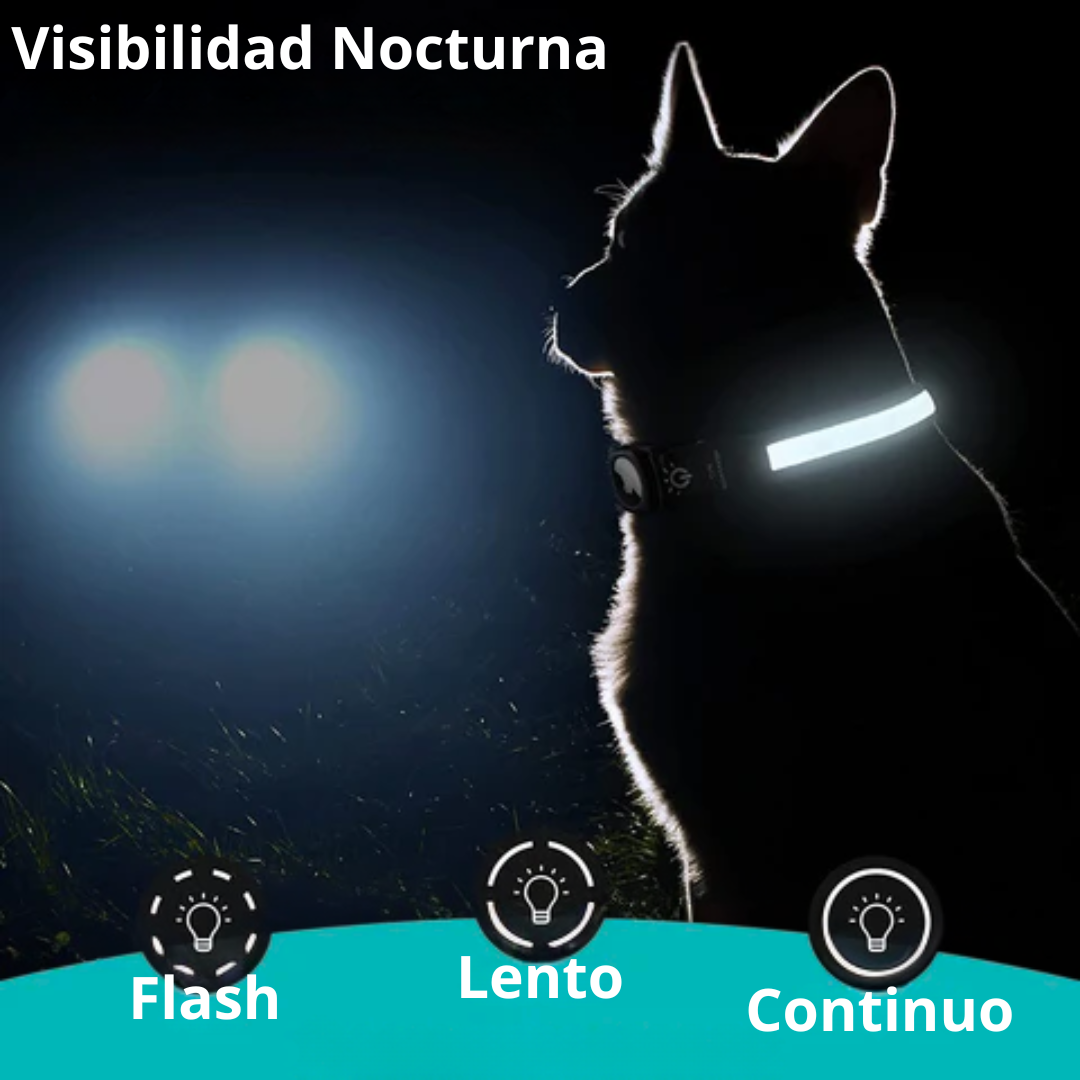 Collar Led para Tagior